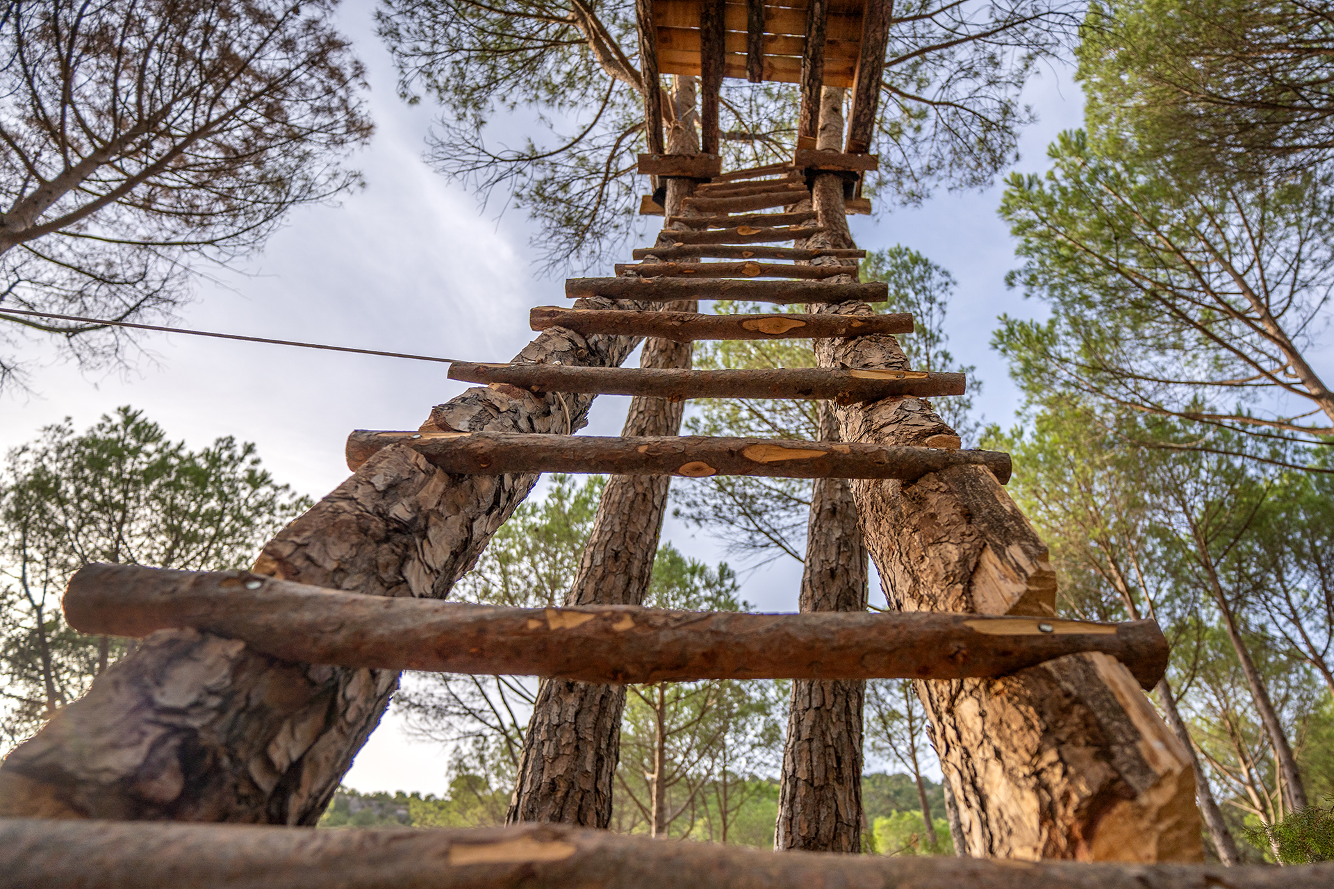 Zip Line